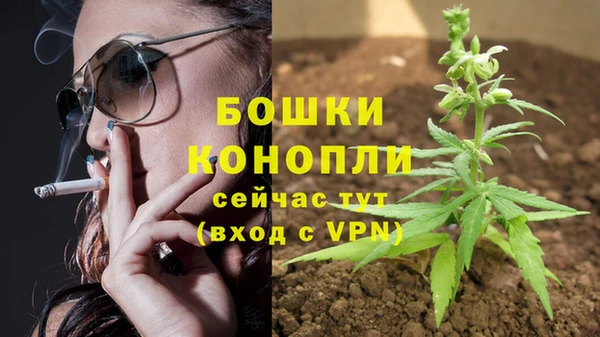 мдпв Лабытнанги